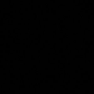 Meet your Posher, Madeline